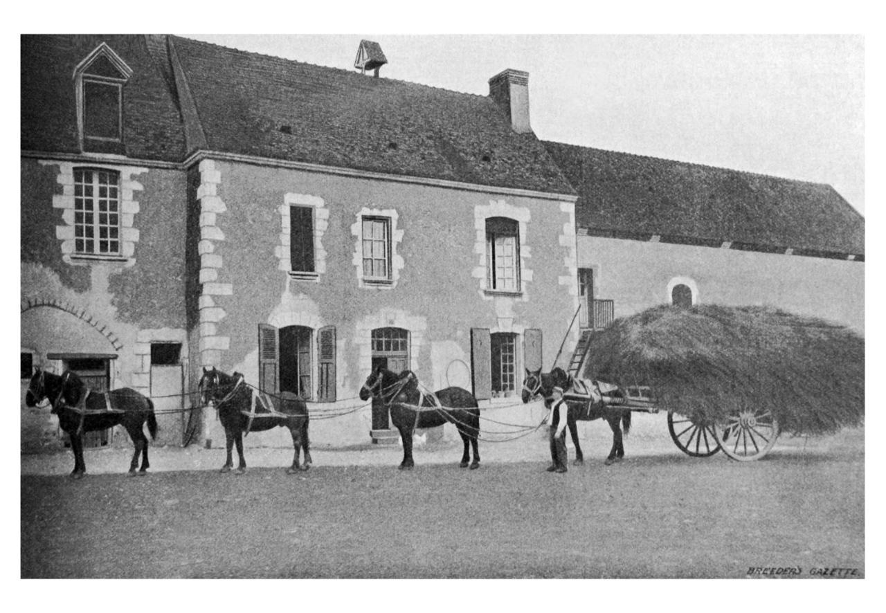 Manoir Du Bois Joly - Gite Du Fournil Margon (Eure-et-Loir) Exterior foto